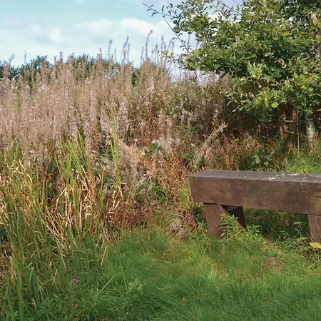 Hovborgvej Hus グランストゥ